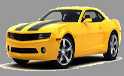 Motor Vehicles